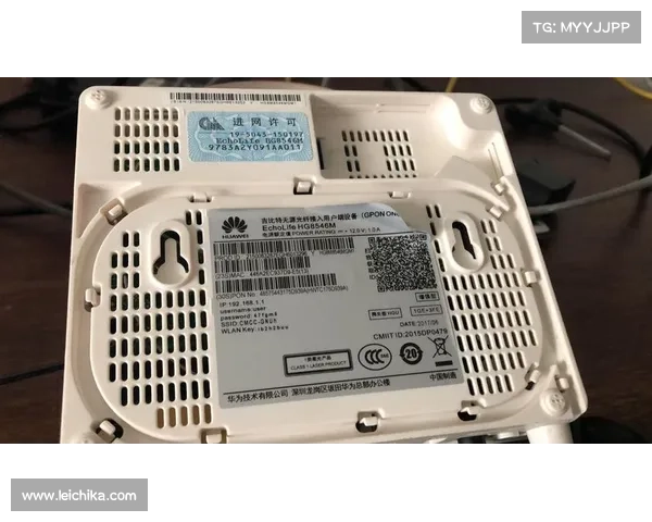 评测R1000TC北美版性能与使用体验的综合分析与实测总结