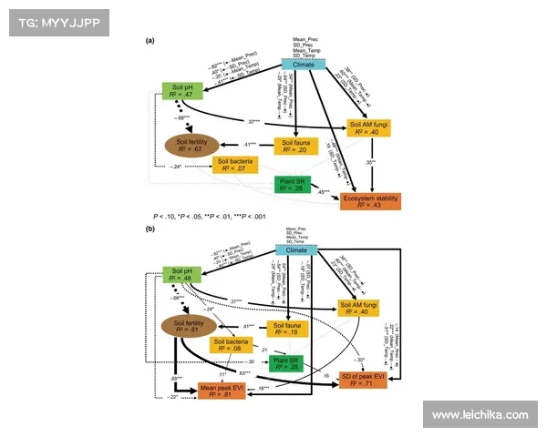 殖民遗产与全球转型：跨文化交流与社会变迁的新时代探索