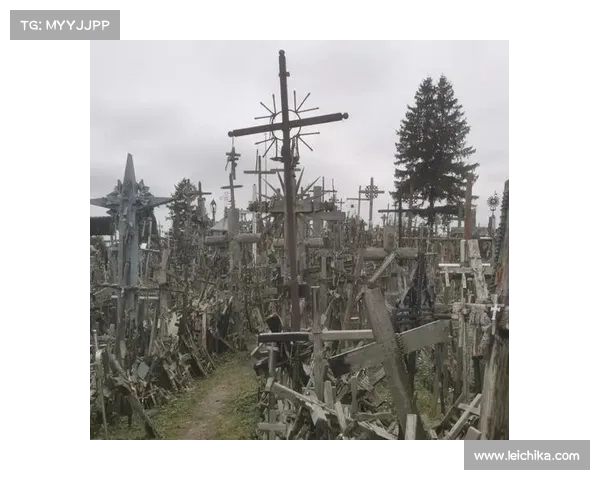 十字军信使的历史角色与影响：跨文化交流与宗教战争的交汇点