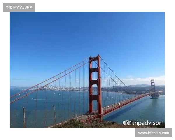 北美洲杯赛参与全攻略从报名到赛场体验详细指南